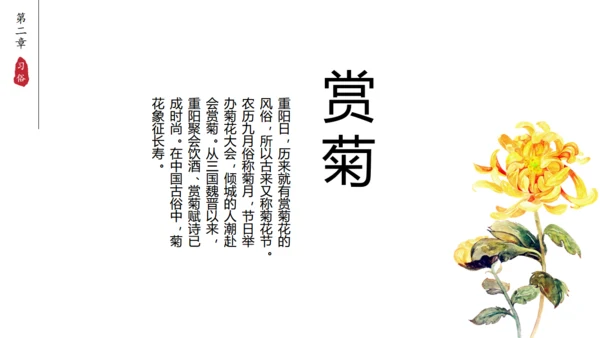 九九重阳节中国风通用PPT模板