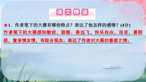 19《大雁归来》课件