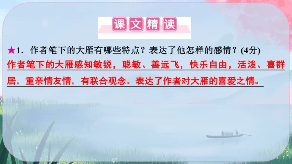 19《大雁归来》课件