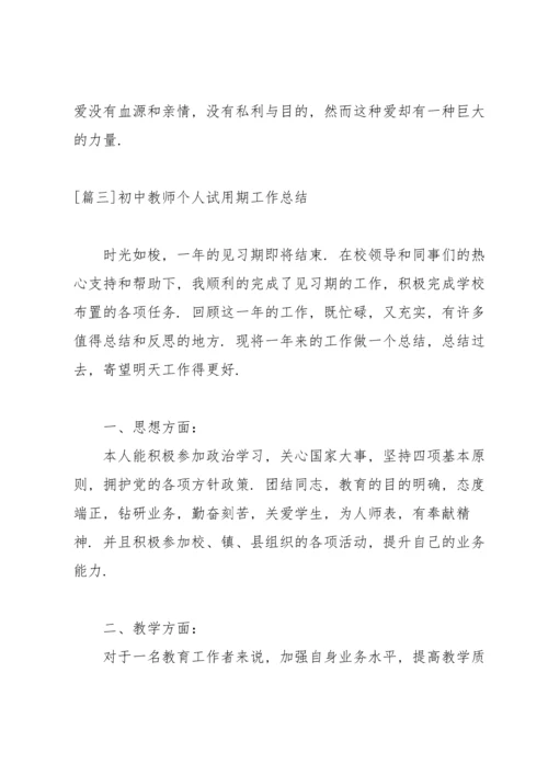 初中教师个人试用期工作总结.docx