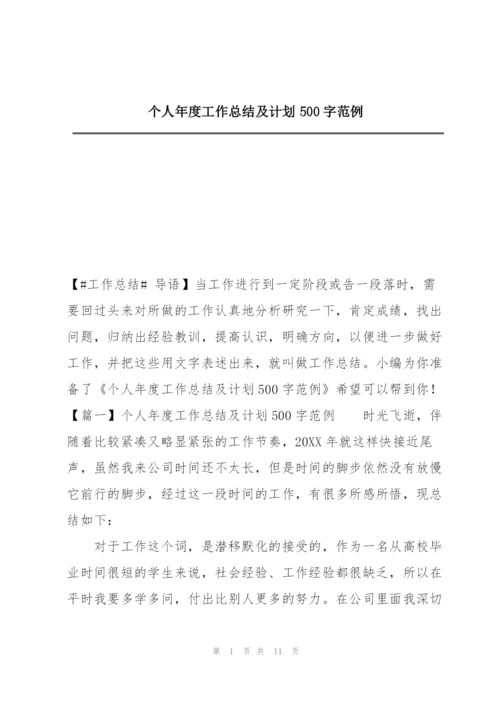 个人年度工作总结及计划500字范例.docx