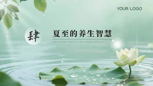 绿色夏至节气介绍通用PPT模板