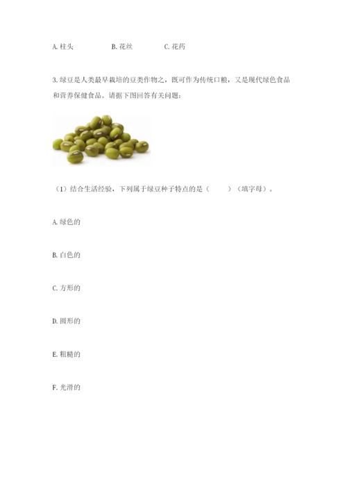科学四年级下册第一单元《植物的生长变化》测试卷及1套参考答案.docx