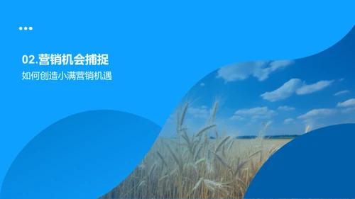 小满营销策略