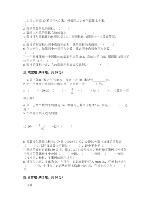 人教版六年级下册数学期末测试卷精品【易错题】.docx