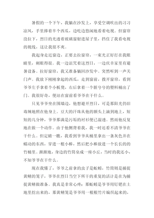 烙在心底的风景作文.docx