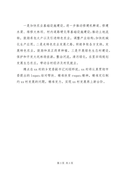 乡镇精准扶贫调研报告某年范文.docx