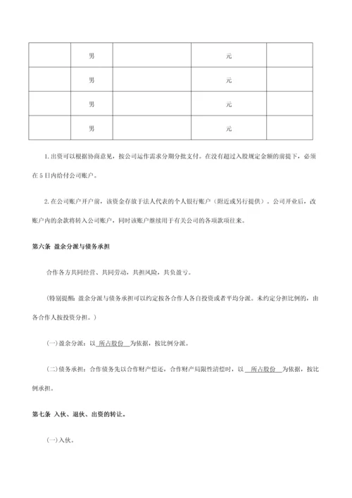 合伙人合作协议书.docx