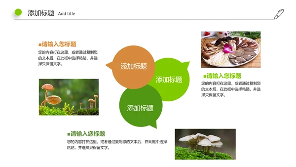 高清野生菌类动态PPT模板