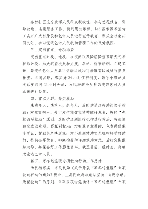 2023寒冬送温暖专项救助行动工作总结五篇.docx