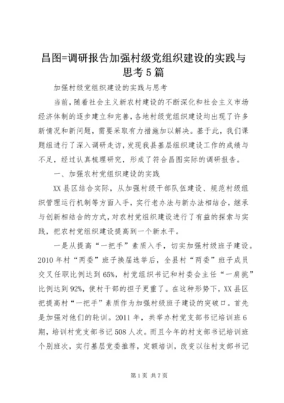 昌图=调研报告加强村级党组织建设的实践与思考5篇.docx