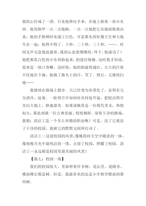 描写校园风景的作文800字.docx