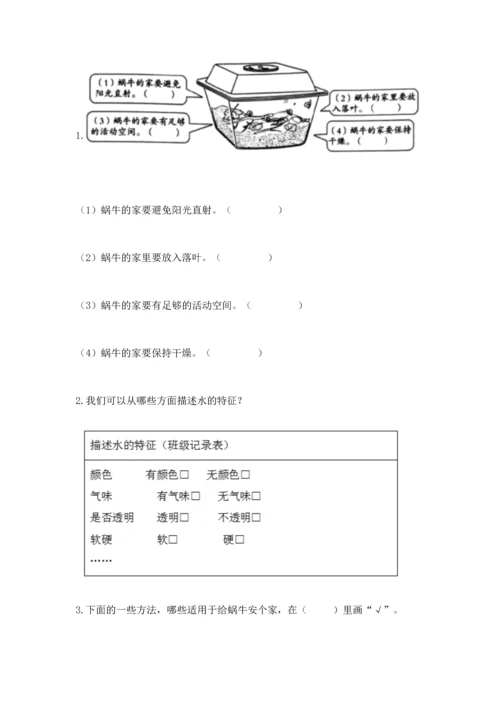 教科版一年级下册科学期末测试卷精品（黄金题型）.docx