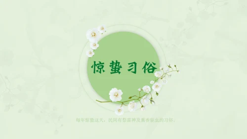 惊蛰淡绿色二十四节气实践教学课件通用PPT模板