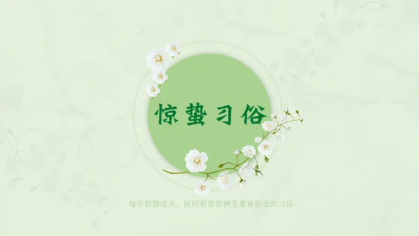 惊蛰淡绿色二十四节气实践教学课件通用PPT模板