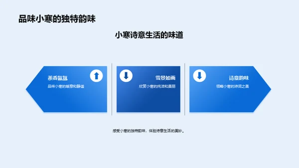 小寒诗意 体验生活