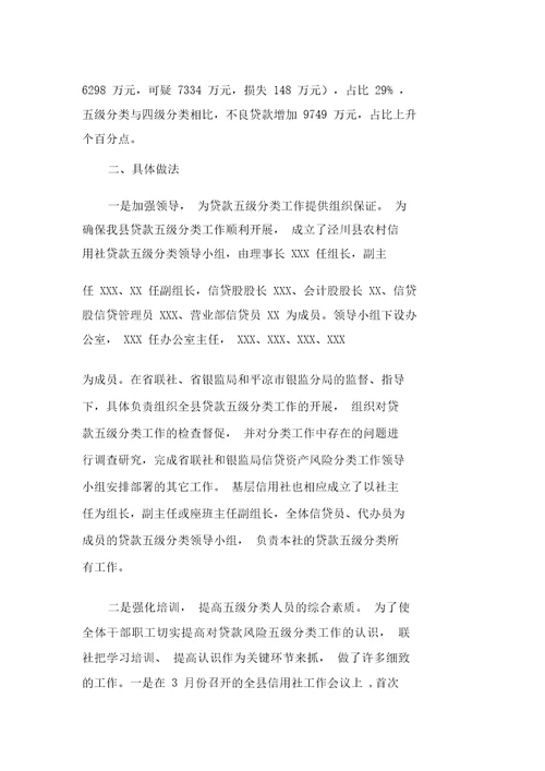 贷款风险五级分类总结报告