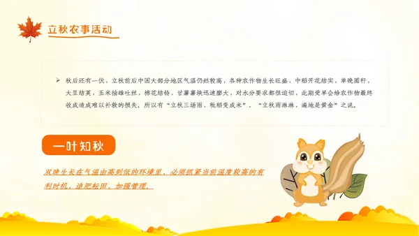 立秋卡通唯美秋天二十四节气主题教育PPT