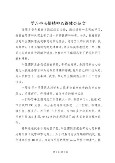 学习牛玉儒精神心得体会范文 (2).docx