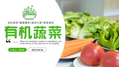 有机蔬菜种植农产品生产美食餐饮PPT模板
