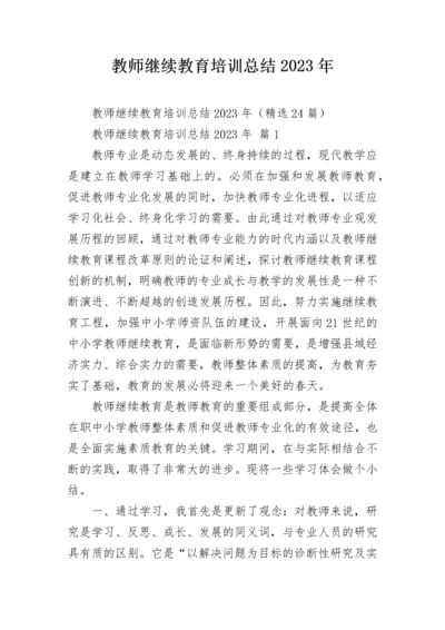 教师继续教育培训总结2023年.docx