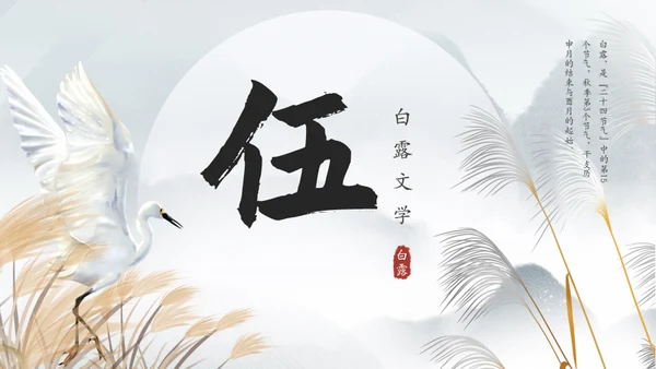 白露白鹤通用PPT模板