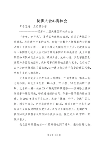 徒步大会心得体会.docx