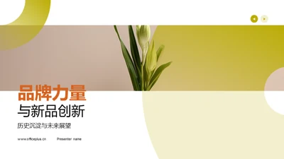 品牌力量与新品创新