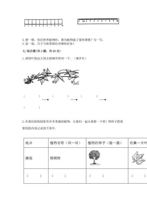 教科版小学一年级上册科学期末测试卷（精华版）.docx