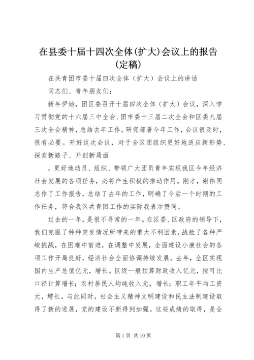 在县委十届十四次全体(扩大)会议上的报告(定稿) (2).docx