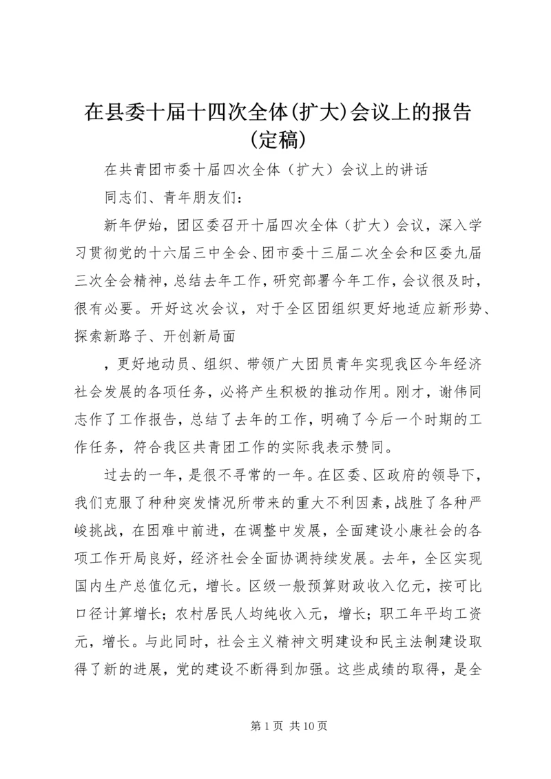 在县委十届十四次全体(扩大)会议上的报告(定稿) (2).docx