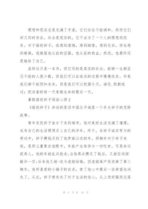 暑假骆驼祥子阅读心得10篇.docx