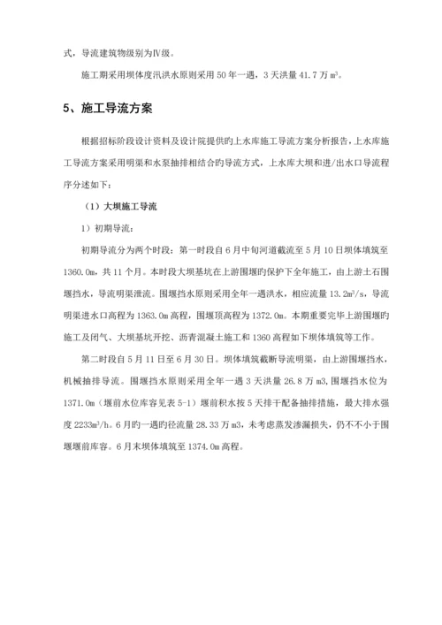 导流综合施工专题方案.docx