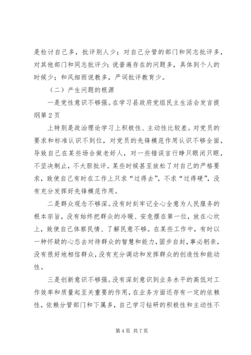 县政府党组民主生活会发言提纲 (2).docx