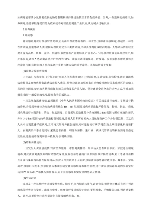 5.5病毒【2024秋人教八上生物精彩课堂（素材+教案+导学案）】
