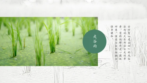 二十四节气谷雨通用PPT模板