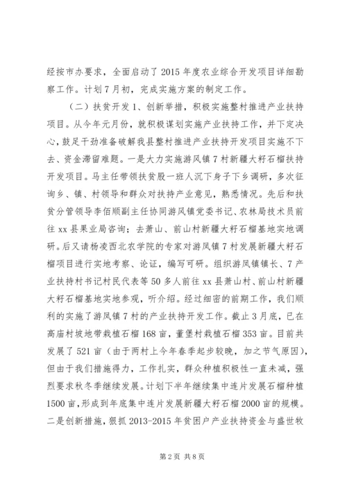 扶贫办上半年工作总结及下半年工作计划.docx