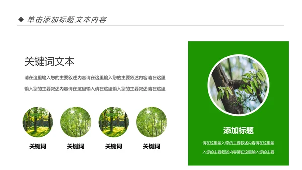 绿色生态森林湿地环境保护植树造林PPT模板