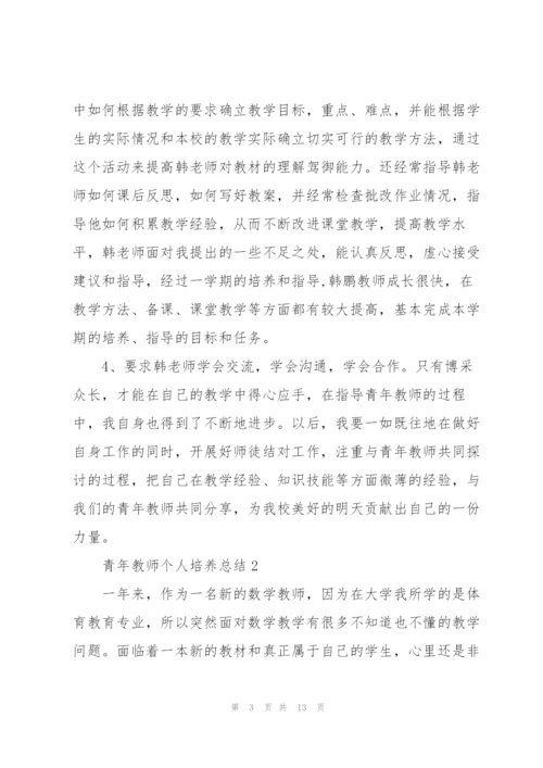 青年教师个人培养总结5篇.docx