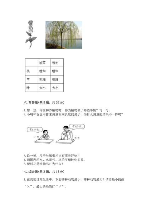 教科版一年级上册科学期末测试卷（轻巧夺冠）.docx