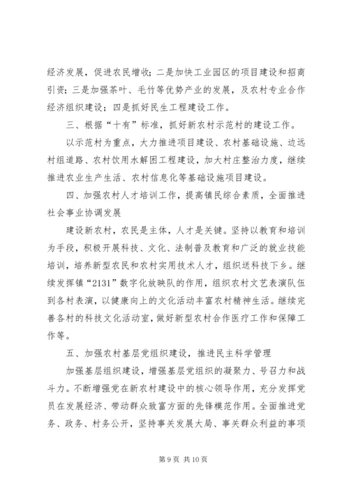 新农办年终总结和来年计划.docx