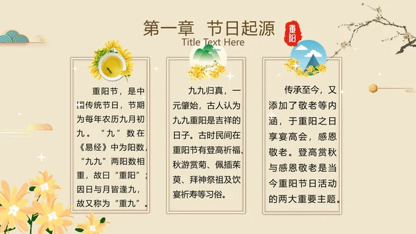 中国风国潮传统佳节九九重阳主题教育PPT