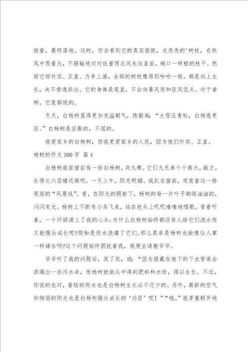 杨树的作文300字