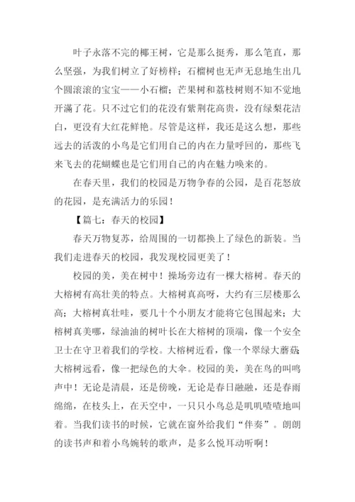 春天的校园作文大全.docx