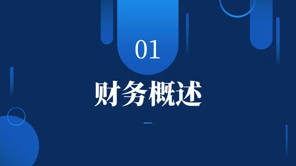 蓝色商务风财务年度执行情况总结