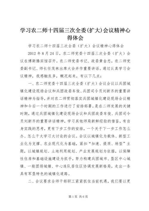 学习农二师十四届三次全委(扩大)会议精神心得体会.docx