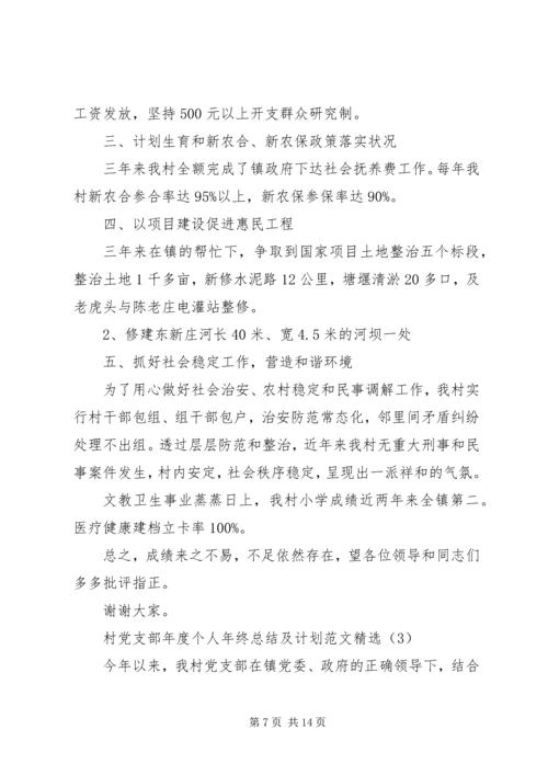 村党支部年度个人年终总结及计划范文精选.docx