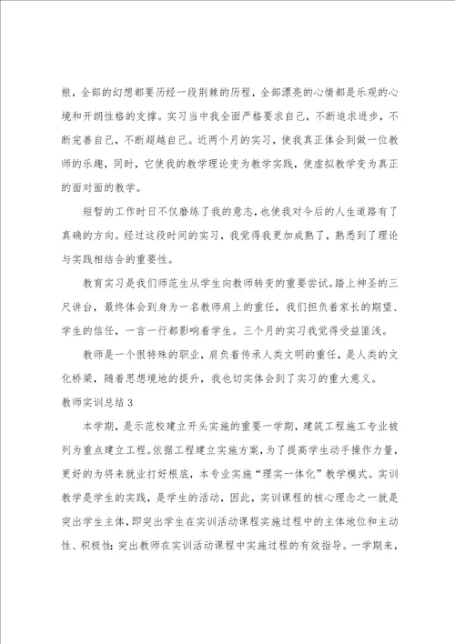 教师实训总结
