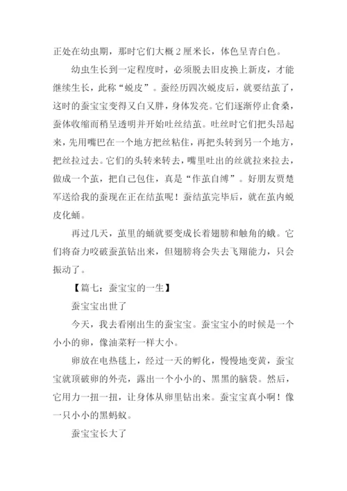 蚕宝宝的一生作文.docx