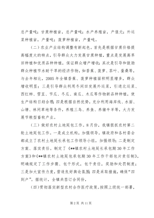 乡镇政府工作总结.docx